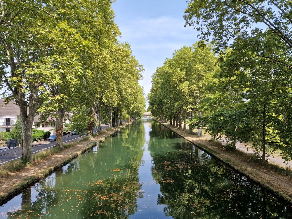 Le canal du Rhône au Rhin bordé d’arbres, filant vers l’horizon